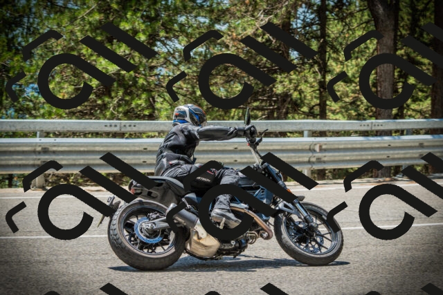 202507201255-DSC07651_c1_