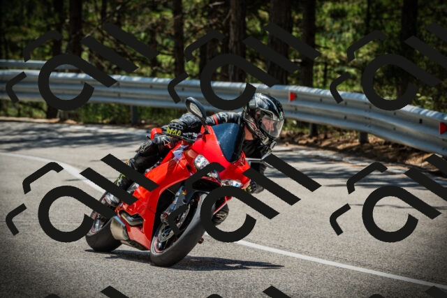 202507201256-DSC07656_c1_