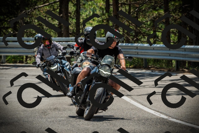 202507201256-DSC07661_c1_