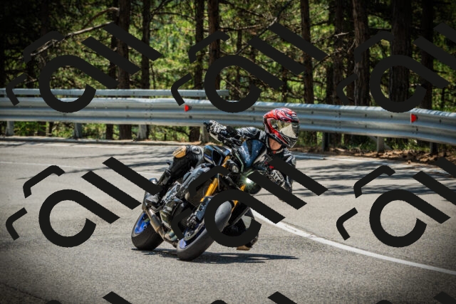 202507201256-DSC07681_c1_