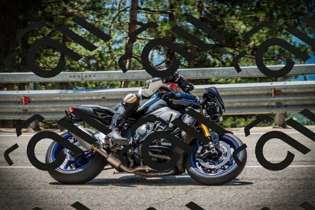 202507201256-DSC07682_c1_