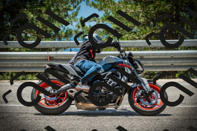 202507201256-DSC07690_c1_