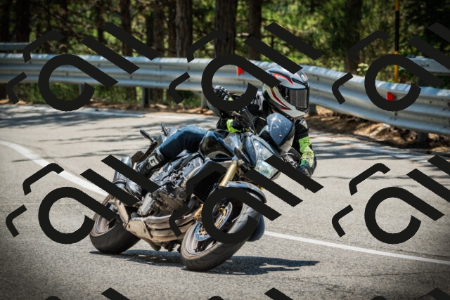 202507201256-DSC07699_c1_