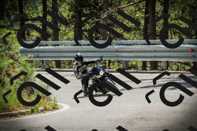 202507201257-DSC07703_c1_