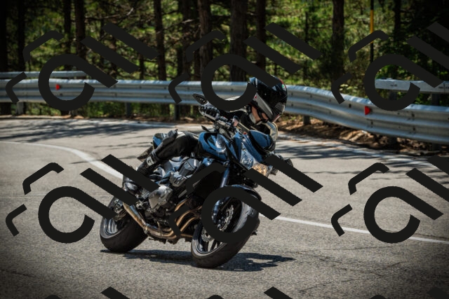 202507201257-DSC07707_c1_