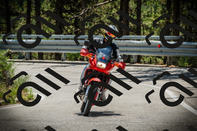 202507201258-DSC07729_c1_