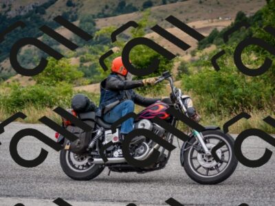 202507261120-DSC_0932_c2