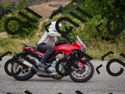 202507261223-DSC_1052_c2