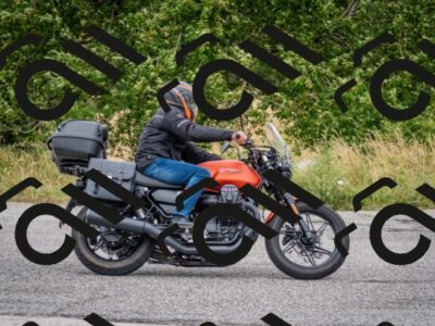 202507261228-DSC_1065_c2