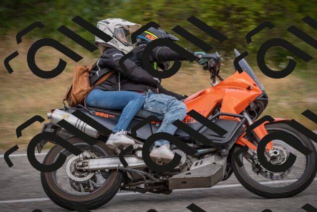 20250726103838-_5000195_am_