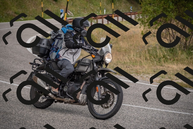 20250726121434-_5000709_am_