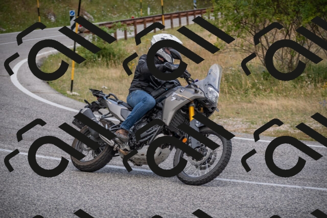 20250726124645-_5000864_am_