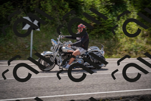 20250726130133-_5001010_am_