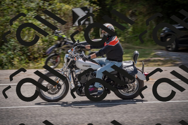 20250726130141-_5001017_am_