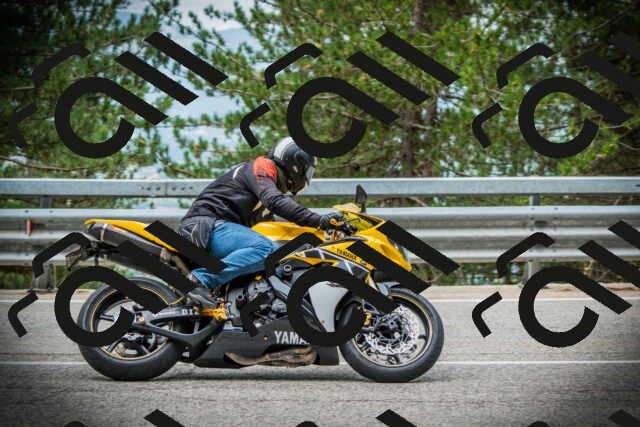 202507261015-DSC07811_c1_