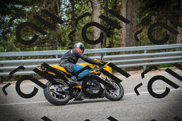 202507261015-DSC07812_c1_