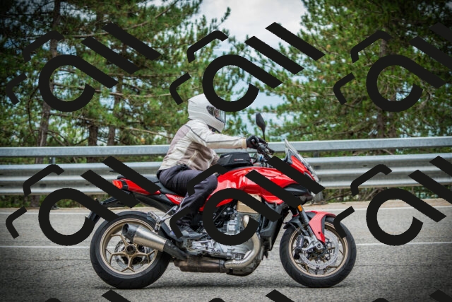 202507261019-DSC07815_c1_