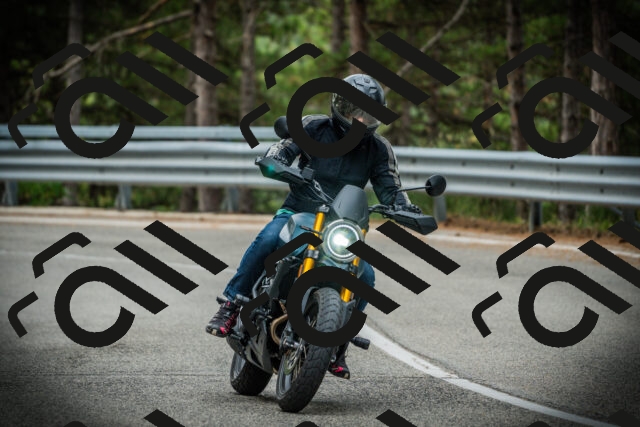 202507261021-DSC07819_c1_