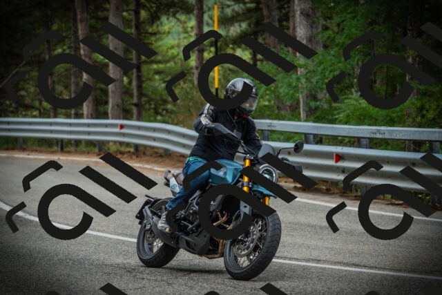 202507261021-DSC07820_c1_