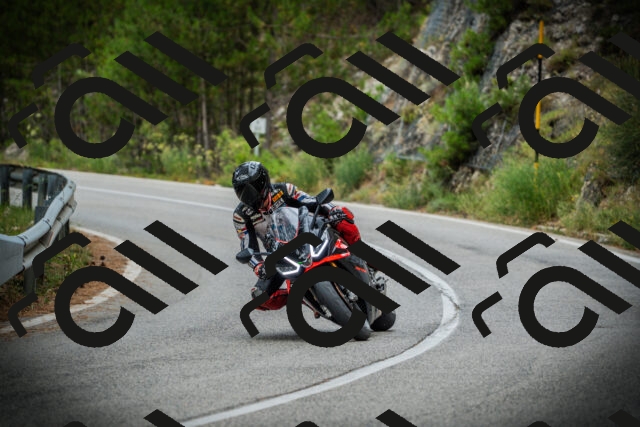 202507261024-DSC07824_c1_