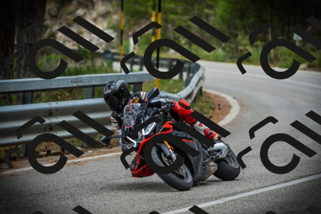 202507261024-DSC07825_c1_