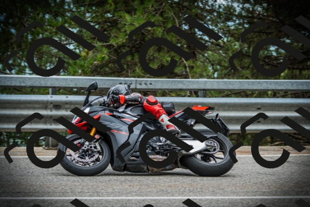 202507261024-DSC07826_c1_