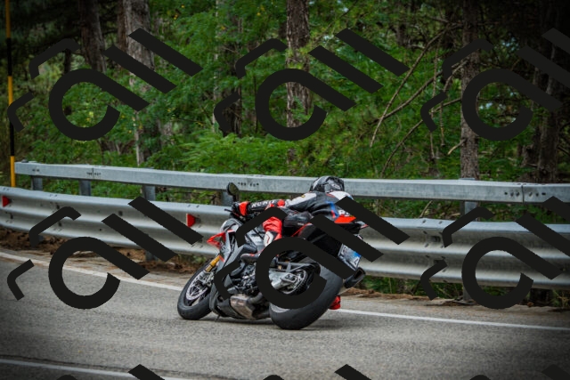 202507261024-DSC07828_c1_