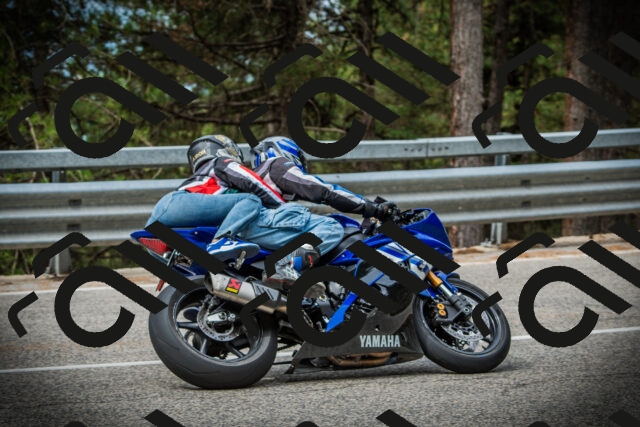 202507261028-DSC07834_c1_