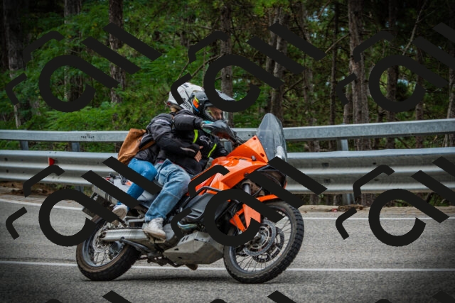 202507261032-DSC07838_c1_