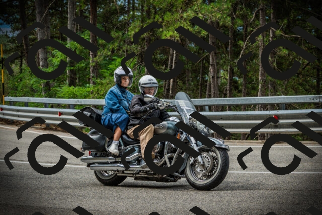 202507261035-DSC07845_c1_