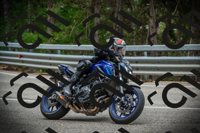 202507261041-DSC07851_c1_