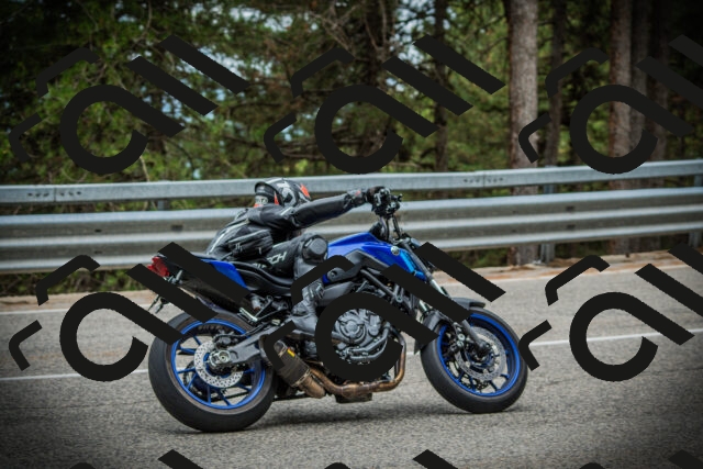 202507261041-DSC07852_c1_