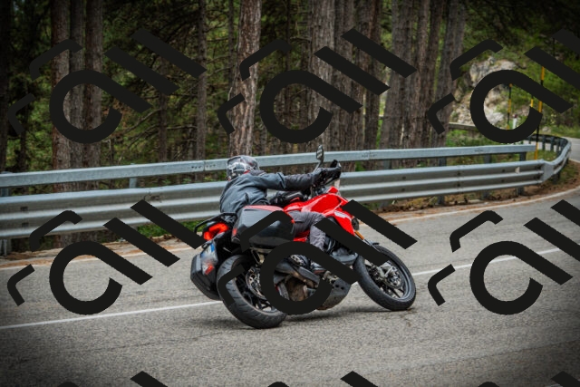 202507261043-DSC07871_c1_