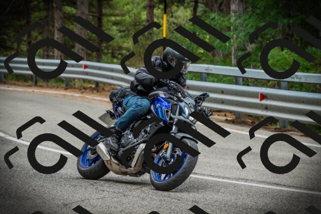 202507261043-DSC07872_c1_