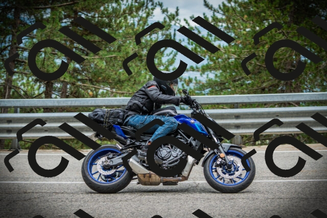 202507261043-DSC07873_c1_