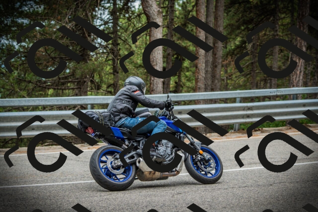 202507261043-DSC07874_c1_