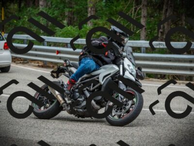 202507261046-DSC07881_c1_