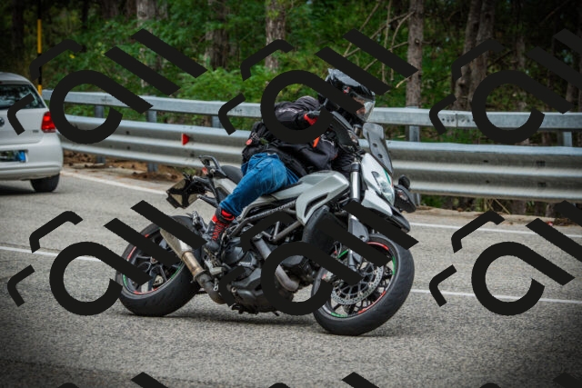 202507261046-DSC07881_c1_