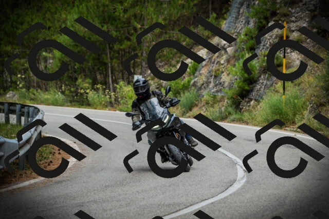 202507261100-DSC07911_c1_