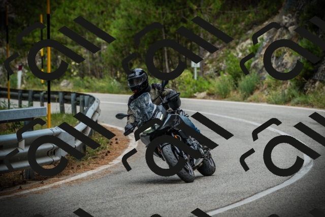 202507261100-DSC07912_c1_