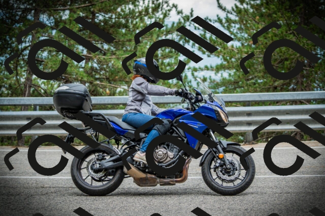 202507261100-DSC07919_c1_