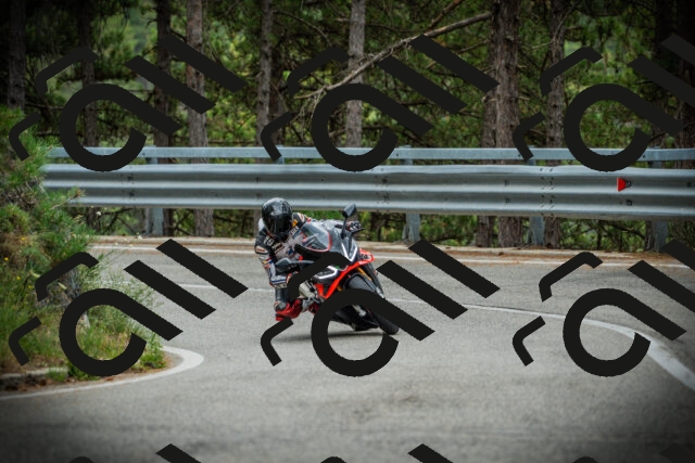 202507261103-DSC07922_c1_