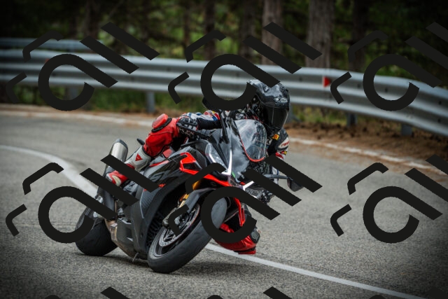 202507261103-DSC07925_c1_