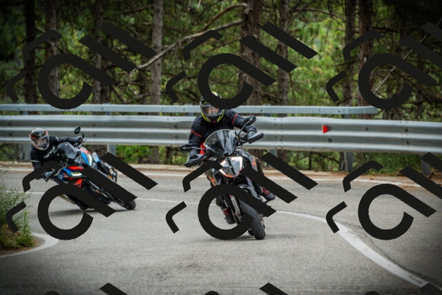 202507261104-DSC07930_c1_