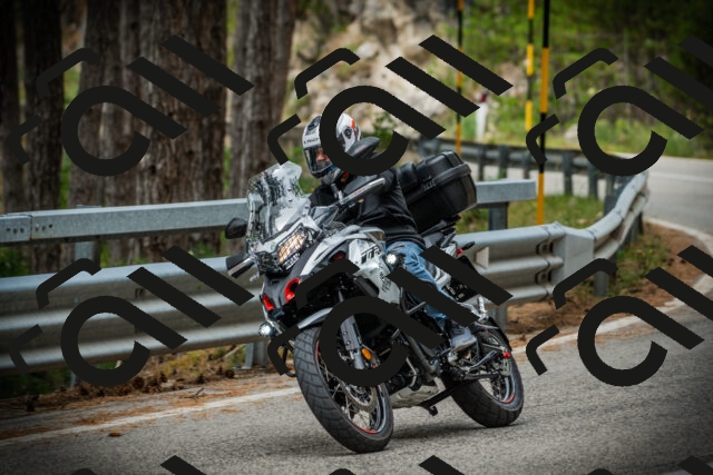 202507261105-DSC07944_c1_