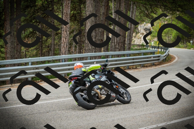 202507261105-DSC07954_c1_