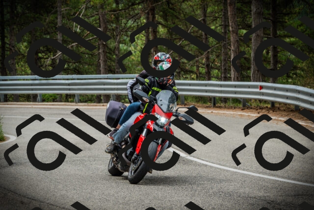 202507261110-DSC07964_c1_