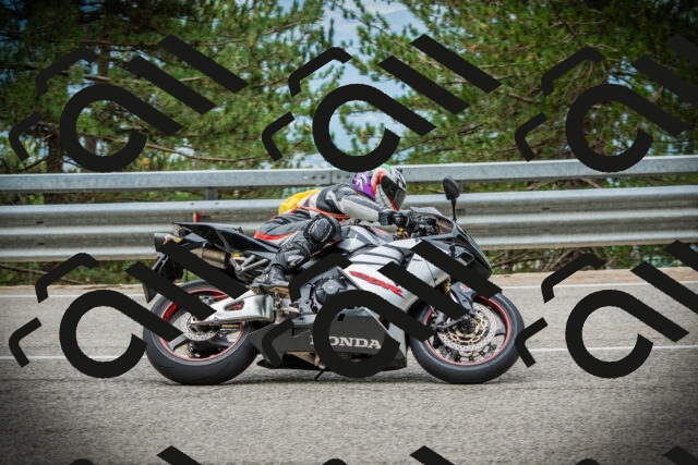 202507261118-DSC07971_c1_