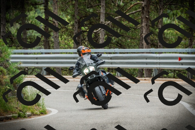 202507261121-DSC07981_c1_