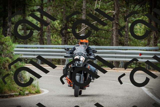 202507261121-DSC07982_c1_